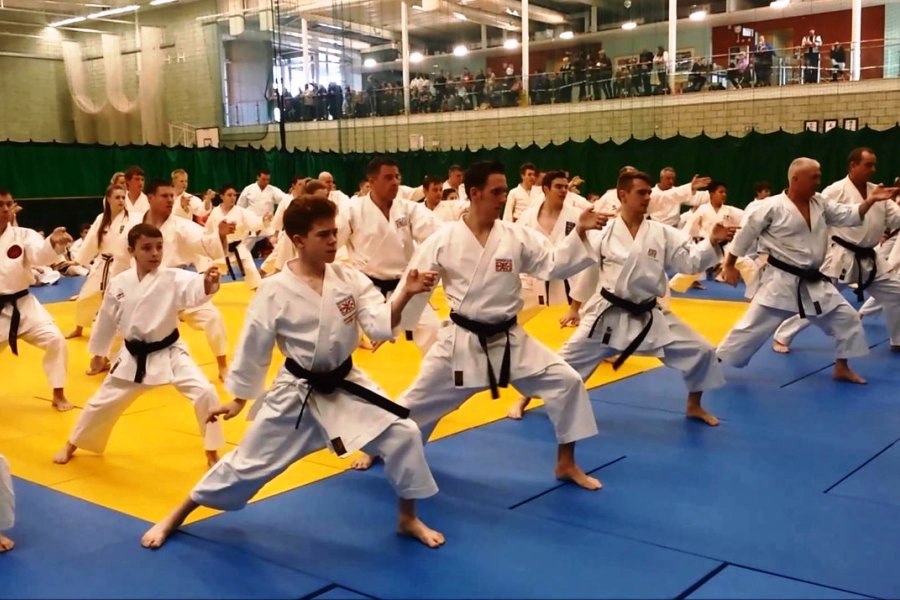 Каратэ в Одинцово