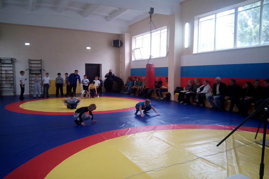 Единоборства в Одинцово