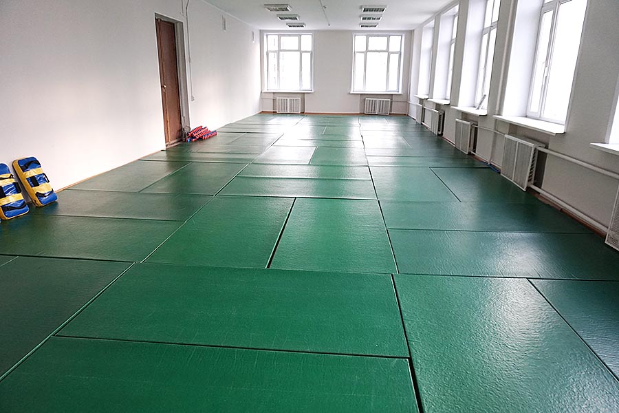 Спортзал МГИМО зонирование, г. Одинцово. 
